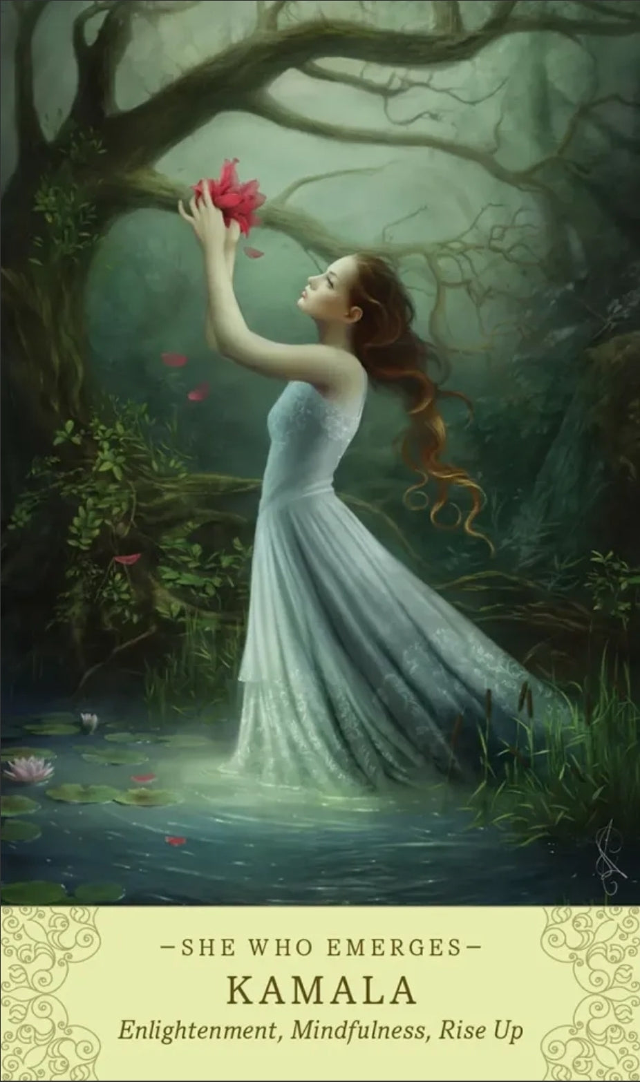 Elle Qui Oracle Cards