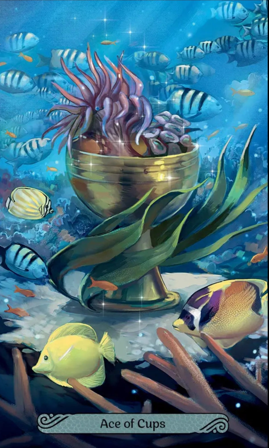 Mermaid Tarot Deck