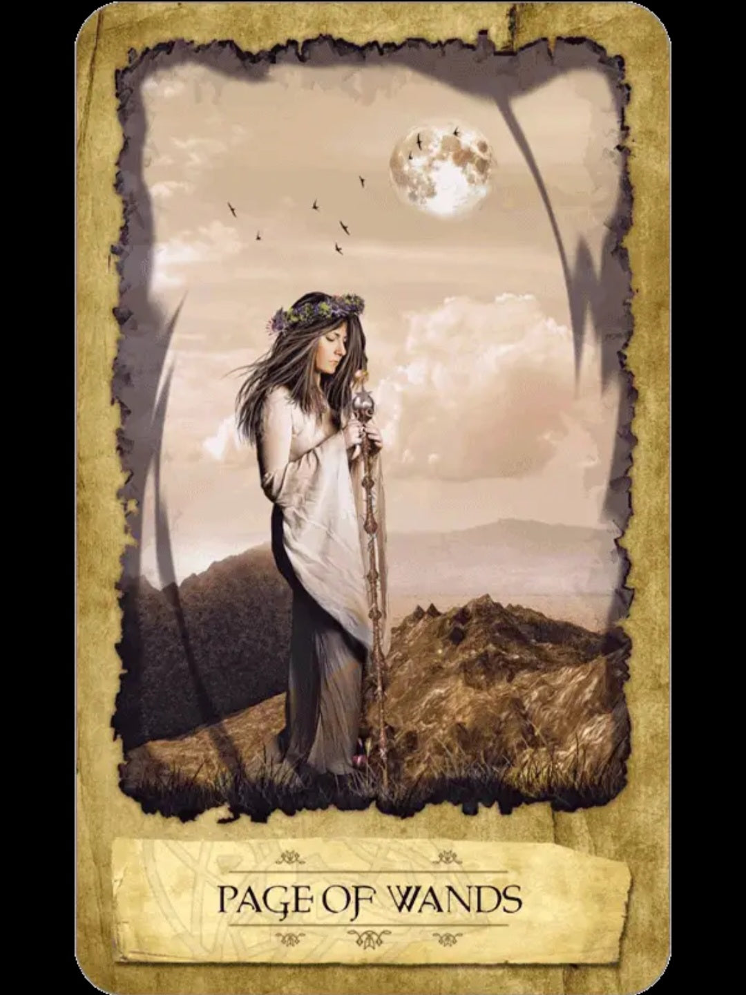 Mystic Dreamer Tarot