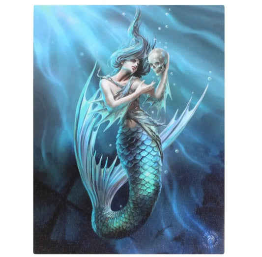 19x25cm Sailor's Ruin Canvas Plaque By The Anne Stokes Collection