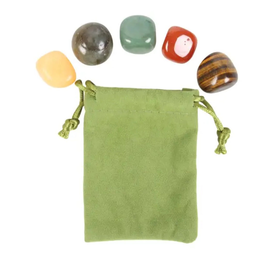 Leo Zodiac Crystal Tumblestone Set