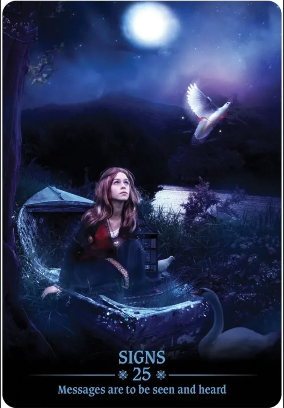 Dark Light Oracle Cards