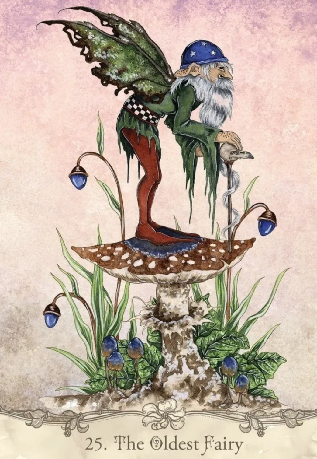 Fairy Wisdom Oracle Deck