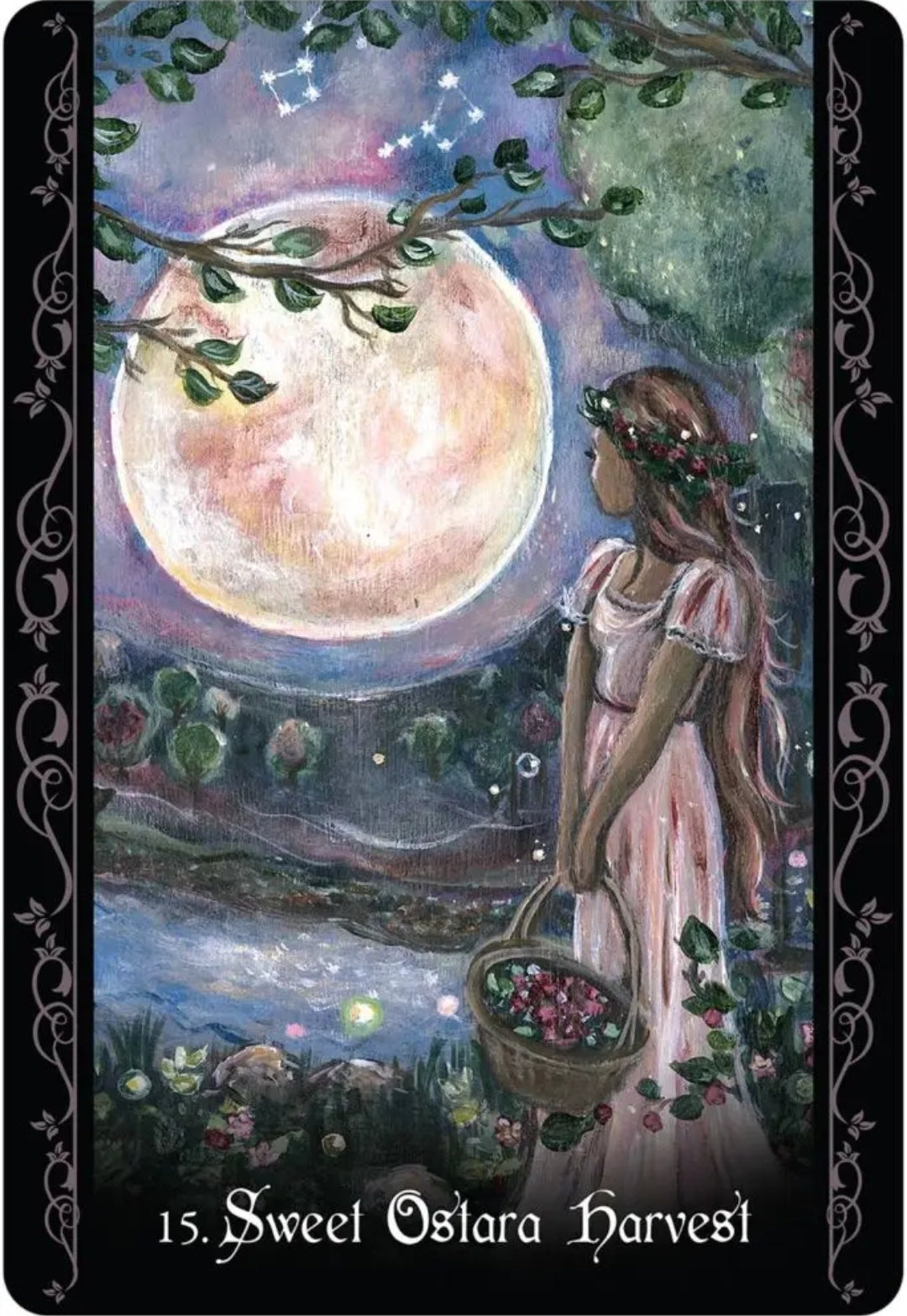 The Solitary Witch Oracle