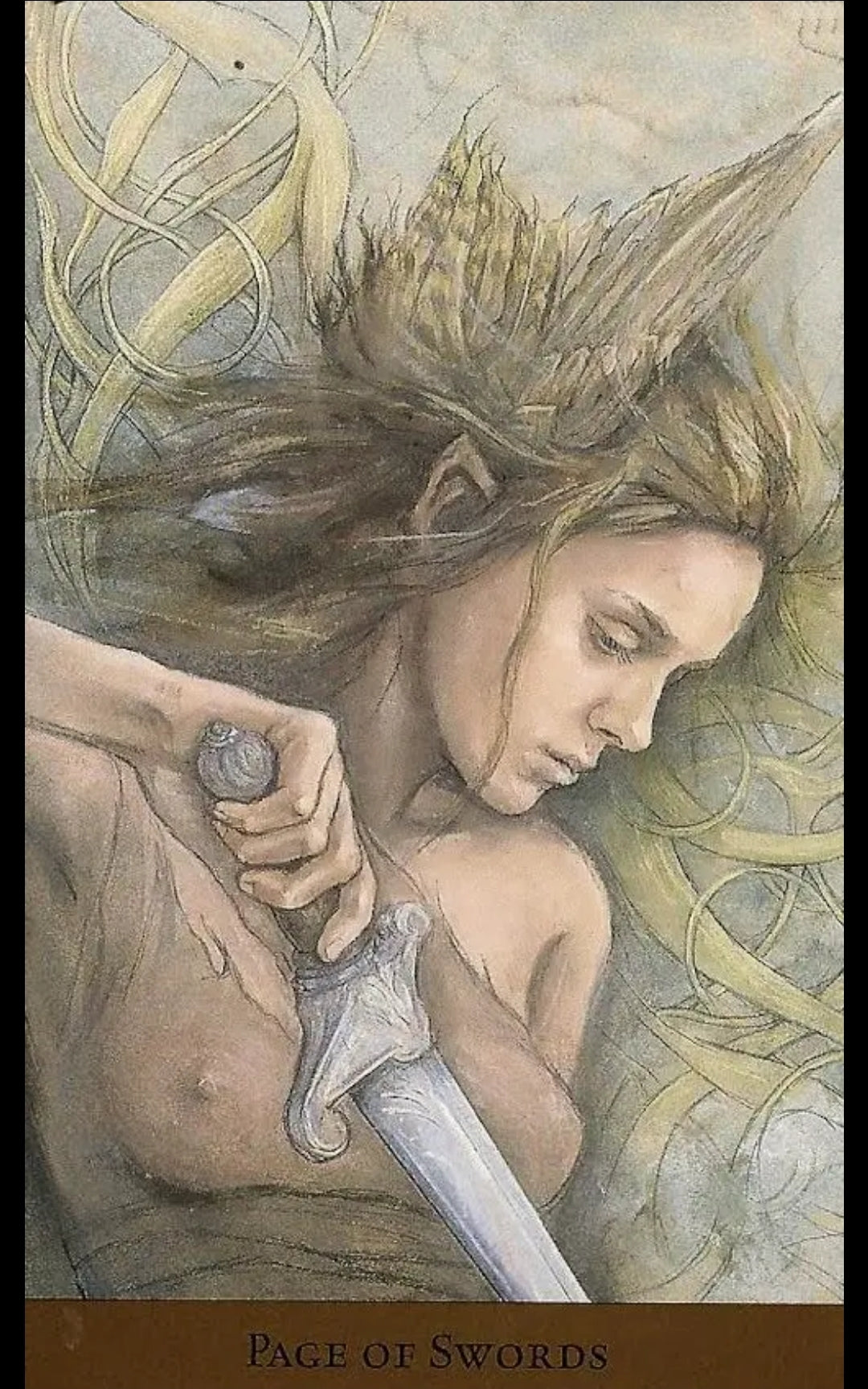 Tarot of the Hidden Realm